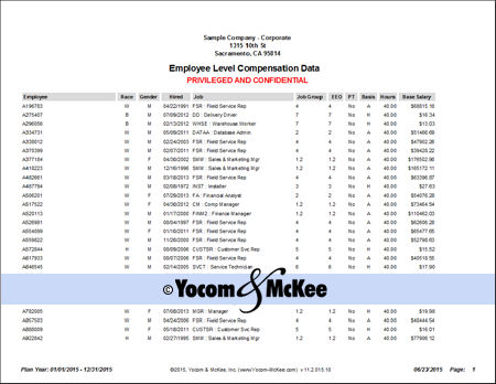 Screenshot of the Employee Level Comp Data