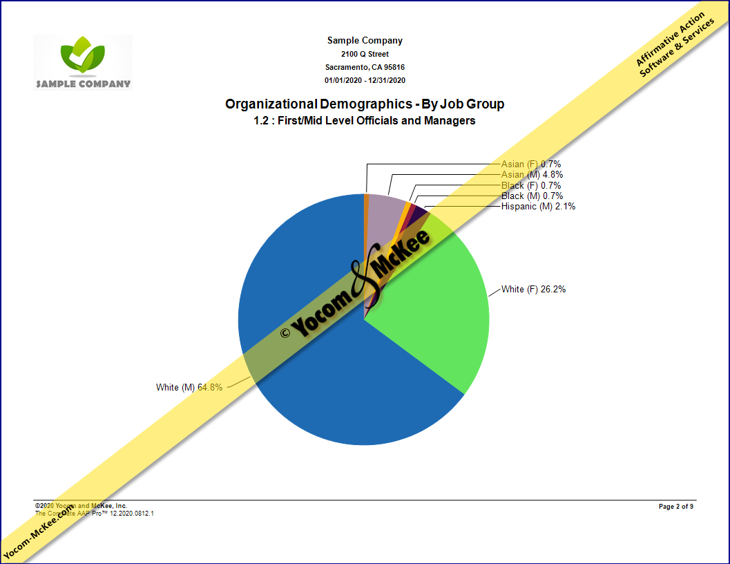 Organizational Demographics - By Job Group