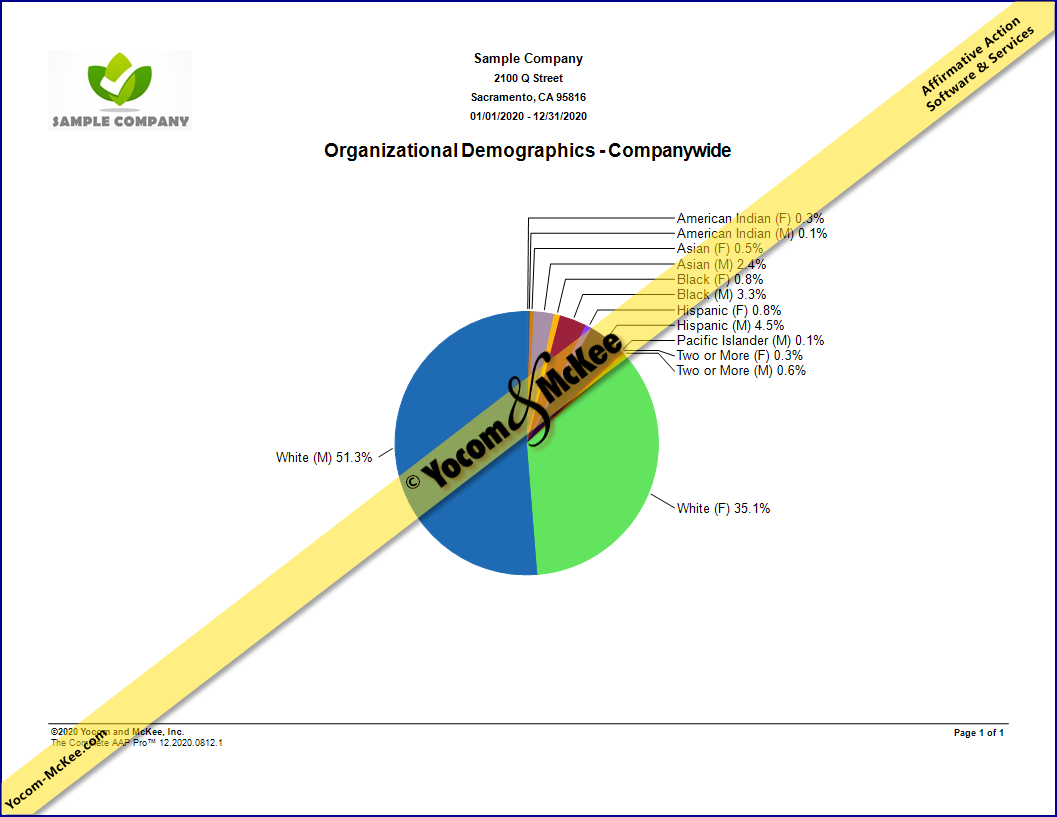 Organizational Demographics - Companywide