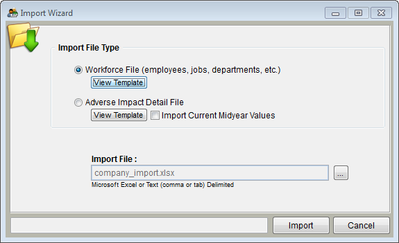 New Imprt Wizard -Workforce Template.png
